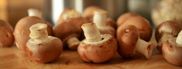 Grzyby - szlachetny smak jesieni